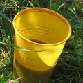 img 0765