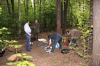 IMG 1846