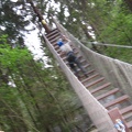 IMG 0998