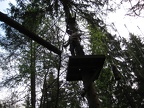IMG 0999