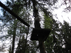 IMG 1000