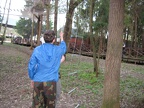 IMG 1003
