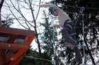 IMG 6362