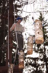 IMG 6365