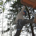 IMG 6374