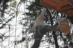 IMG 6374
