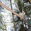 IMG 6383
