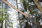 IMG 6383