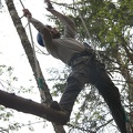 IMG_6385.jpg
