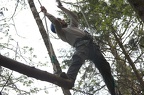 IMG 6385