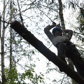 IMG 6388