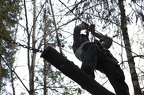 IMG 6391