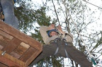 IMG 6393