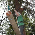 IMG_6400.jpg