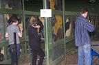 IMG 6407