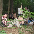 IMG 1079
