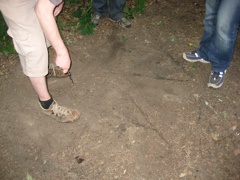 IMG 1113