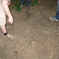 IMG_1113.JPG