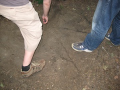 IMG 1114