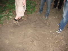 IMG 1116