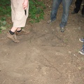 IMG 1116
