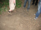 IMG 1116