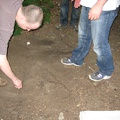 IMG_1118.JPG