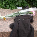 DSCN0973