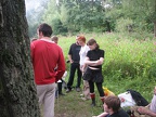 IMG 0011