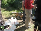 IMG 0031