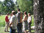 IMG 0033